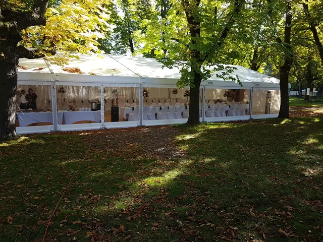 Namiot weselny pod drzewami jesienią